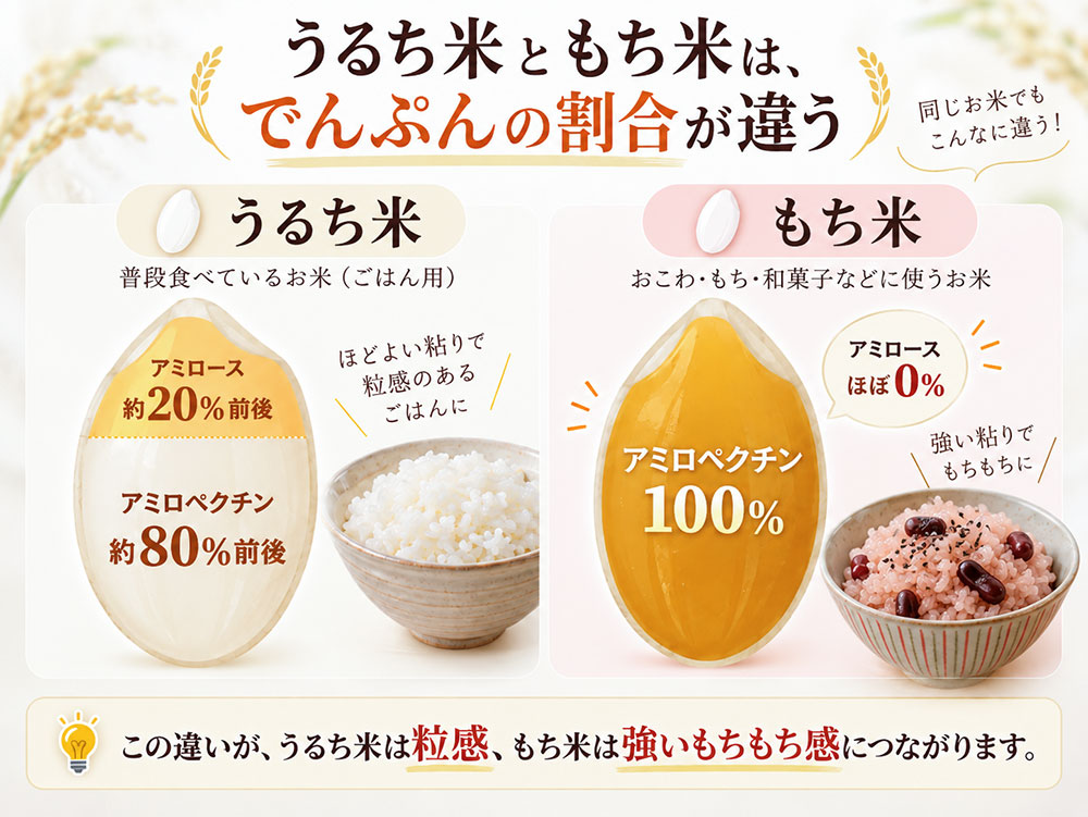 精白したうるち米のでんぷんはアミロースとアミロペクチンがおよそ2:8、もち米はほぼ100%がアミロペクチン