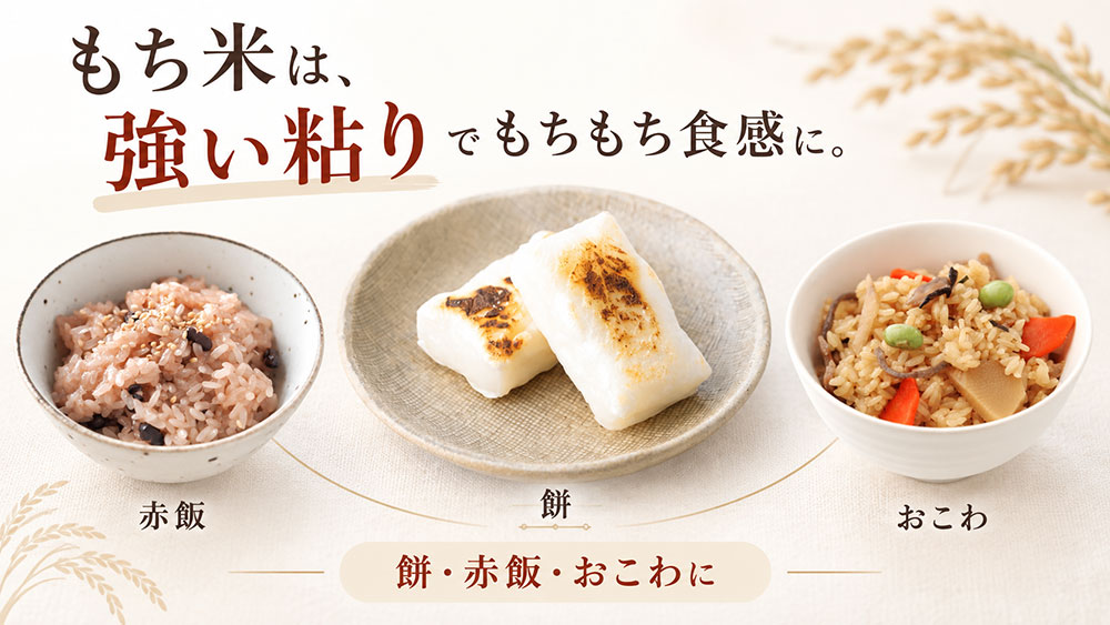 もち米は粘りが強いお米|餅・赤飯・おこわに向いている