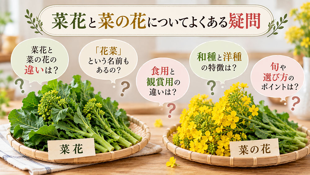 菜花と菜の花についてよくある疑問