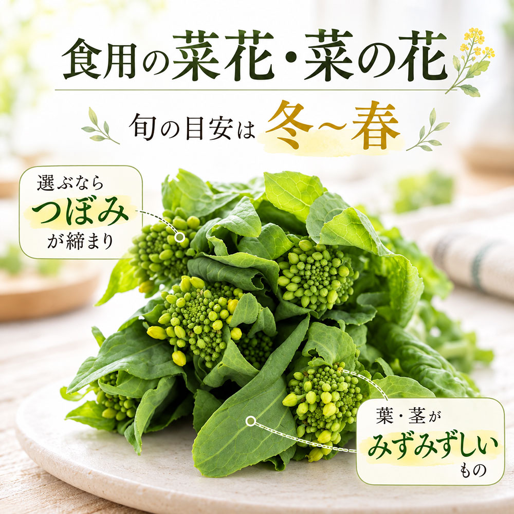 スーパーで迷わない！食用の菜花・菜の花の旬と選び方