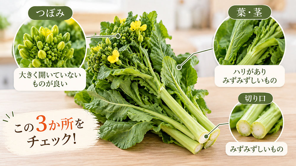 つぼみが締まり、葉や茎がみずみずしいものを選ぶ