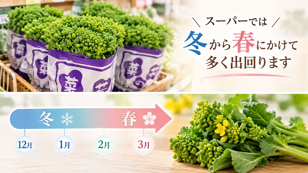 菜花は冬から春に多く出回る｜旬は産地や品種で少しずれる