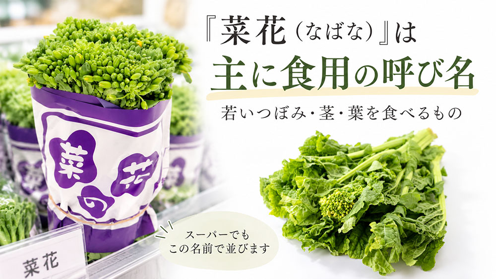 「菜花（なばな）」は主に食用として扱われる呼び名