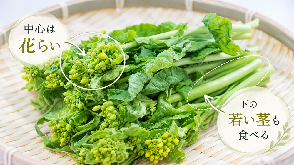 和種なばなは主に花らいと茎を食べる