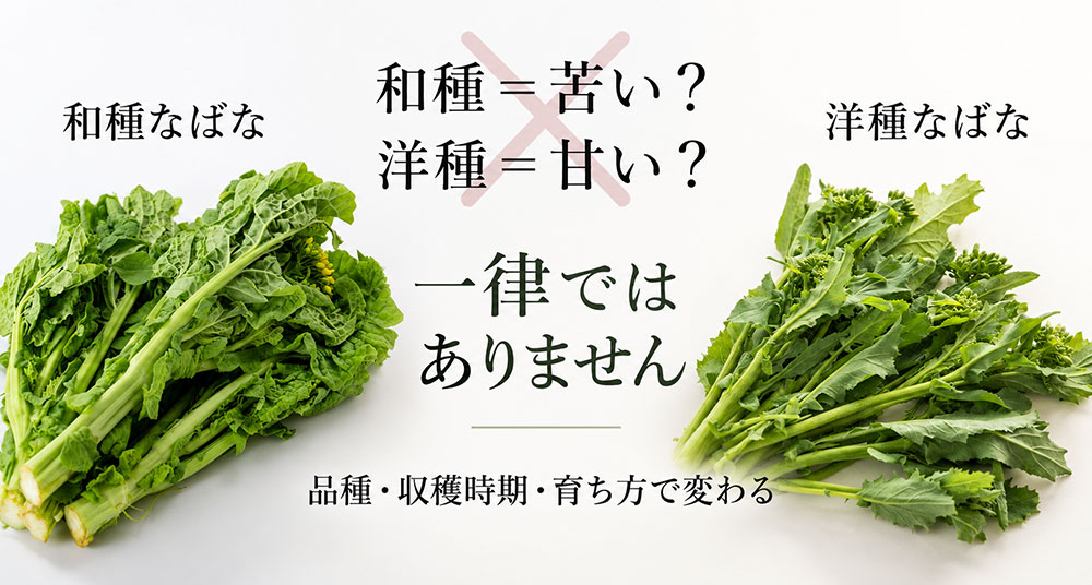 苦味や食感は品種でも変わる｜「和種は苦い・洋種は甘い」と決めつけない