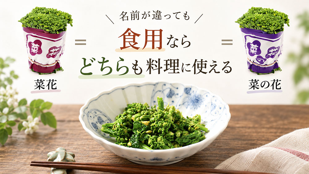 スーパーの食用品なら「菜花」「菜の花」どちらも料理に使える