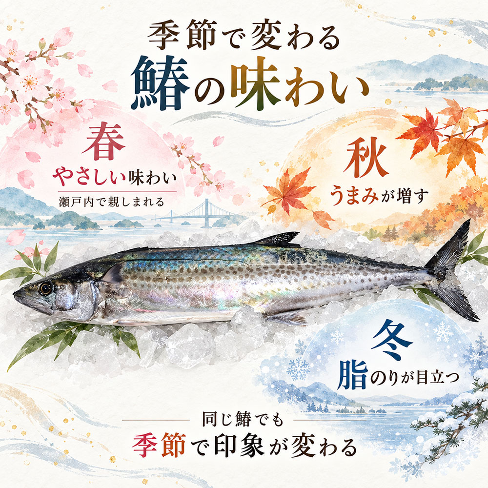 春・秋・冬でこんなに違う！鰆の味と脂ののりを季節別に比較