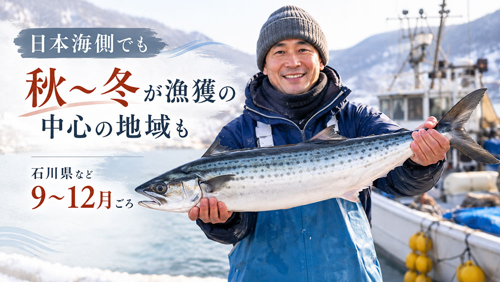 日本海側では秋から冬に漁獲が増える地域もある