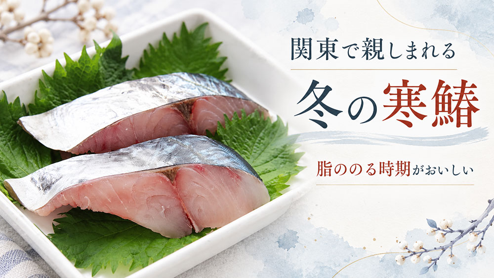 関東では冬の寒鰆が人気｜脂ののる時期が好まれる