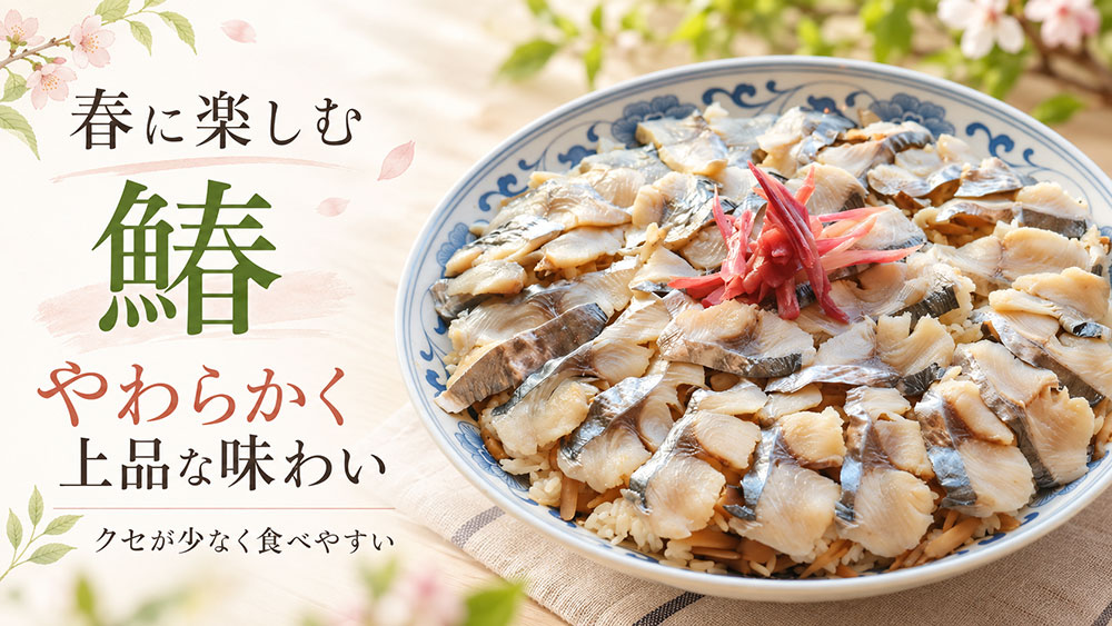 春の鰆｜やわらかく上品な味わいを楽しむ季節