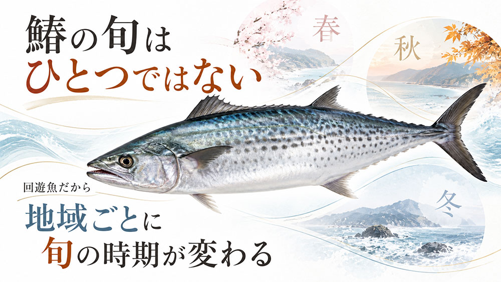 鰆の旬は全国共通ではない｜地域によって食べ頃が変わる