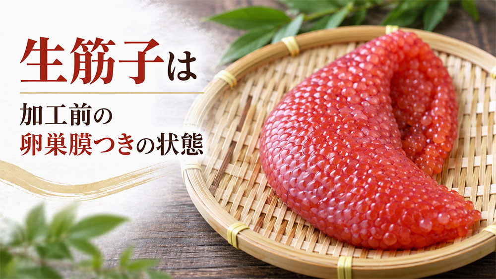 生筋子は加工前の卵巣膜つきの状態