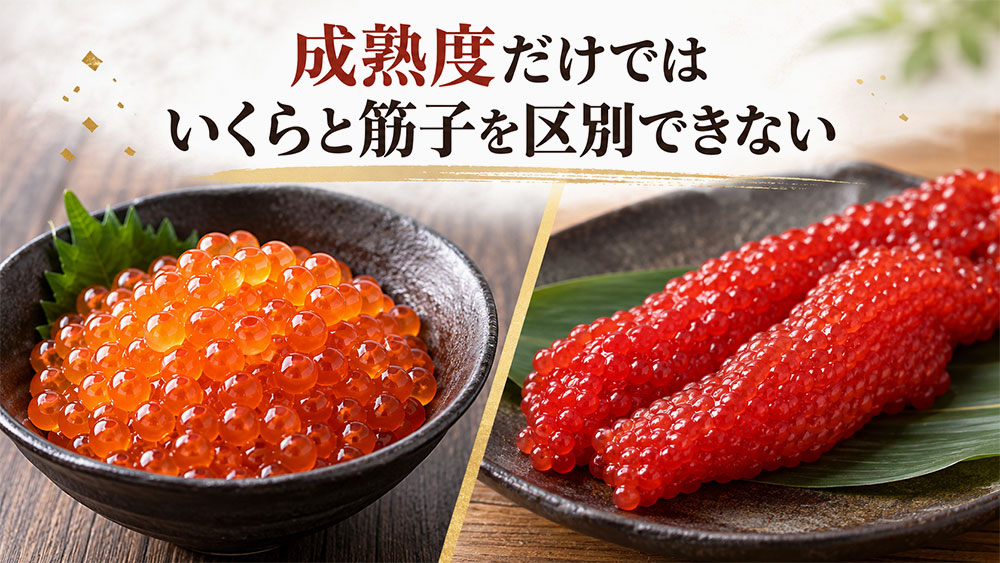 成熟度だけではいくらと筋子を区別できない