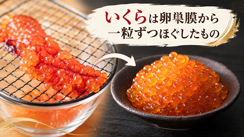 いくらは卵巣膜から一粒ずつほぐしたもの