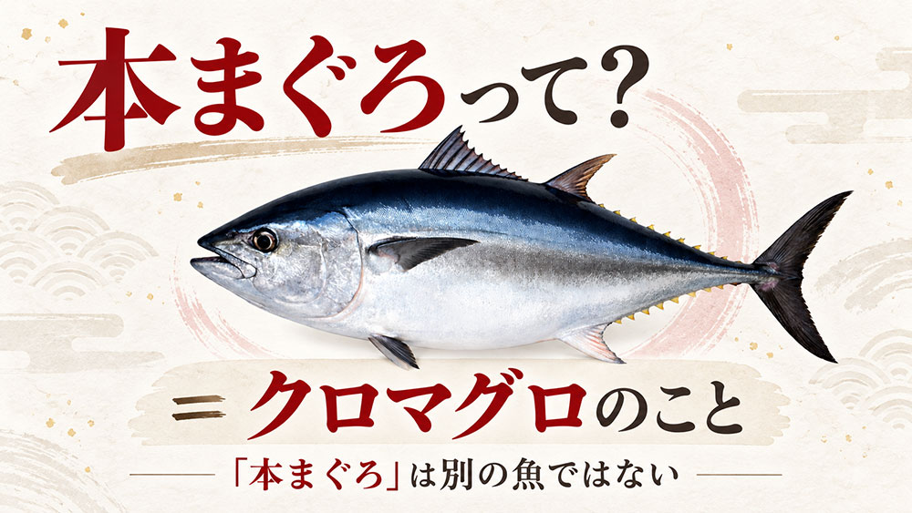 「本まぐろ」はクロマグロのこと