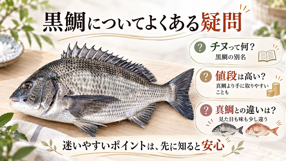 黒鯛についてよくある疑問