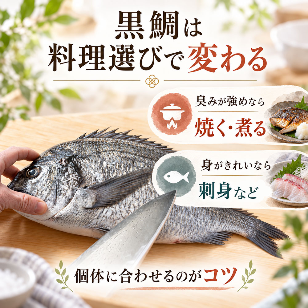 黒鯛をおいしく食べるには？臭みや身質に合わせた料理の選び方
