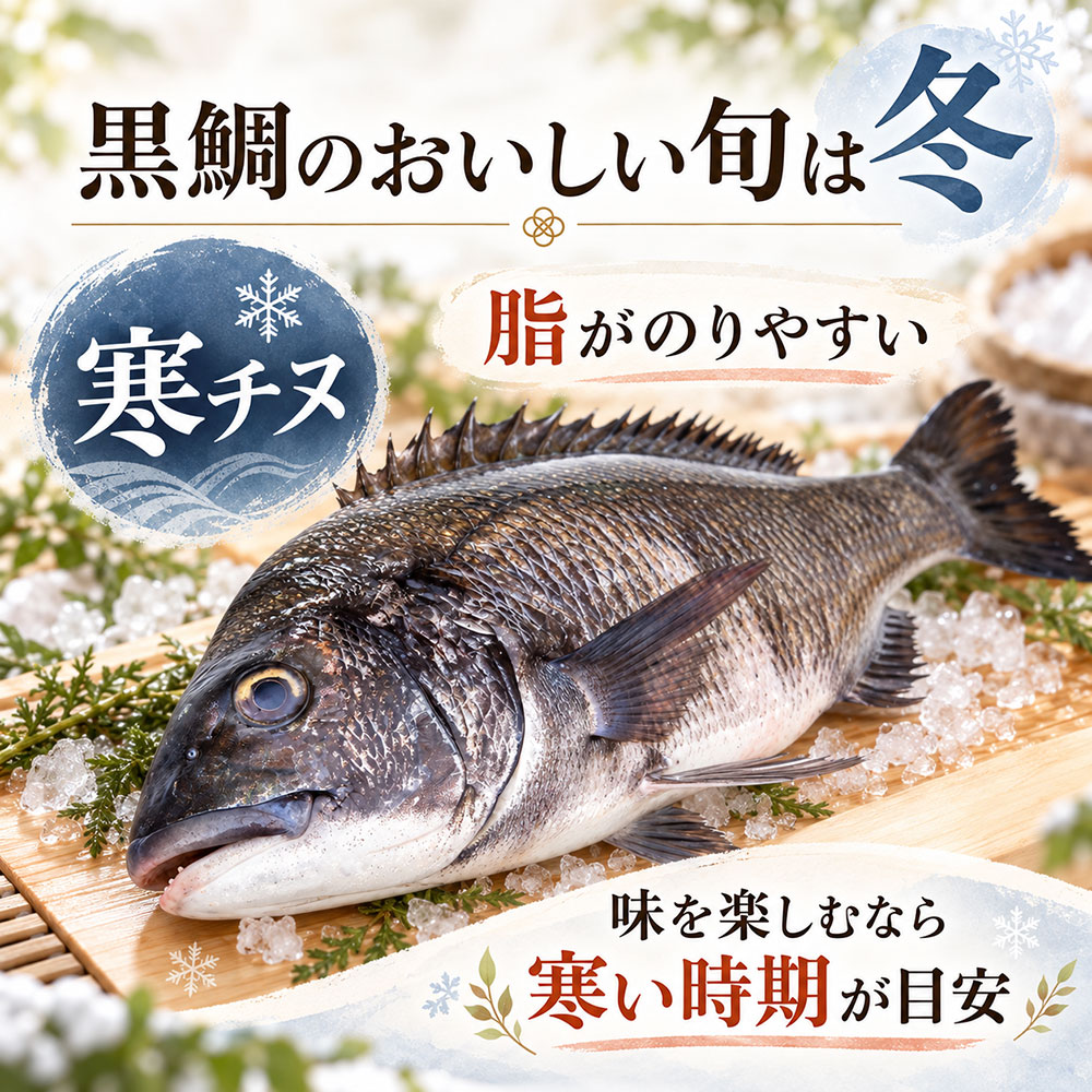 黒鯛がおいしい旬はいつ？冬の「寒チヌ」と夏の違い