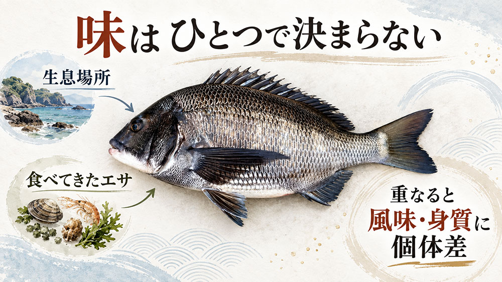 同じ黒鯛でも「当たり外れ」があるのはなぜ？