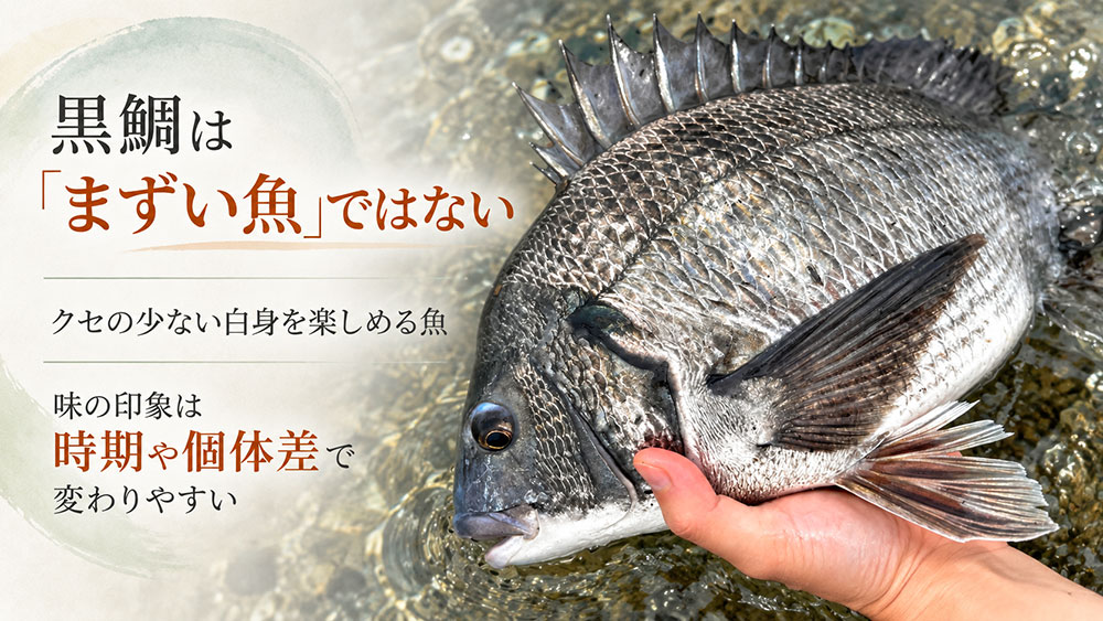 黒鯛そのものが「まずい魚」というわけではない