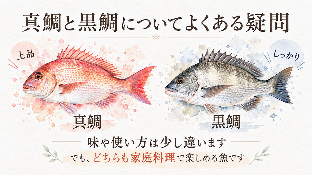 真鯛と黒鯛についてよくある疑問