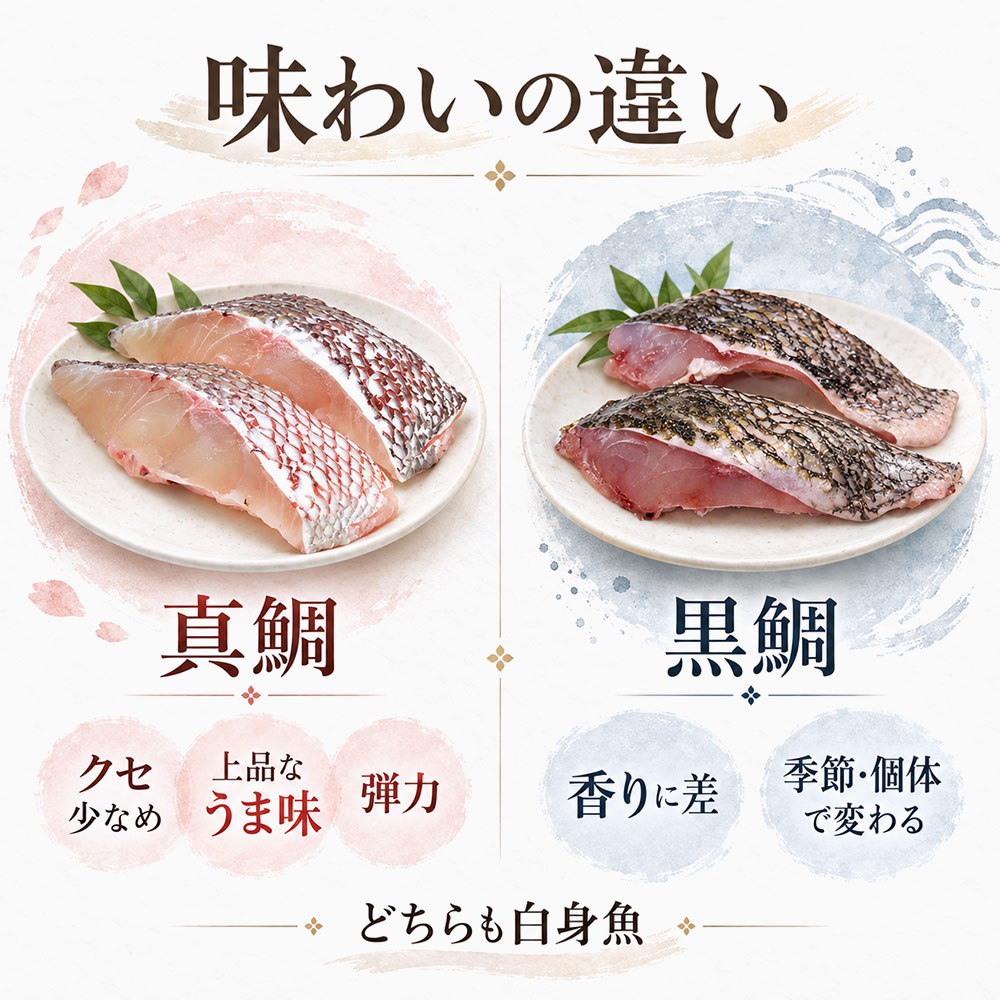 真鯛と黒鯛は味がどう違う？食感や香りを比べよう
