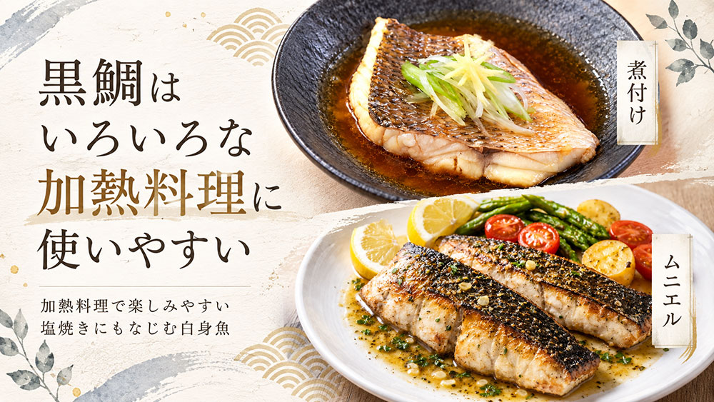 塩焼き・煮付け・ムニエルなら黒鯛も使いやすい