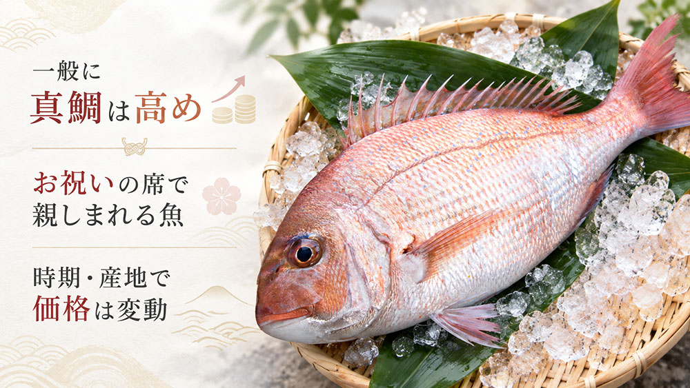 一般には真鯛のほうが高めだが、値段は時期や産地でも変わる