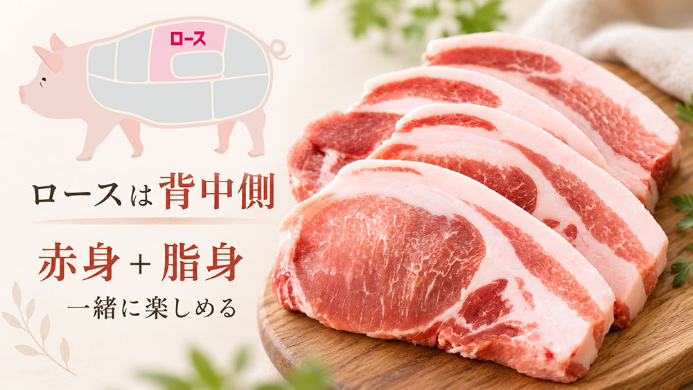ロースは背中側の肉｜赤身と脂を一緒に楽しめる
