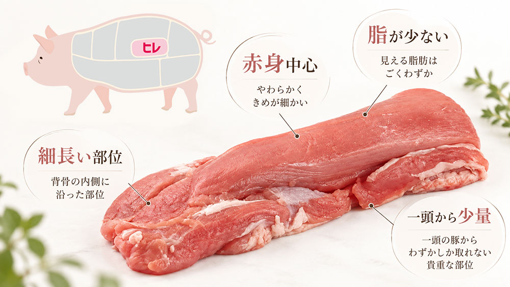 ヒレは背骨の内側の肉｜脂が少なくきめ細かい