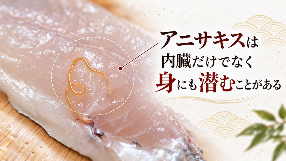 内臓だけじゃない！アニサキスはサバの身にも潜んでいる