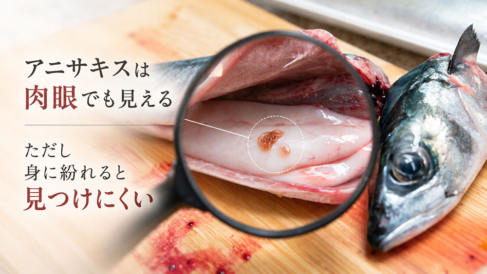 アニサキスは目で見える？確認するときの注意点