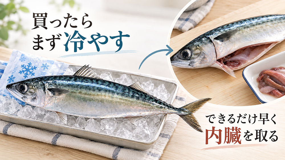 サバを買ったらまず何をする？冷やして早めに内臓を取ろう