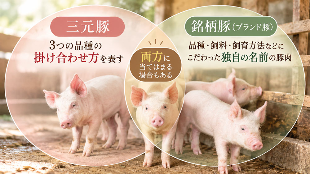 三元豚と銘柄豚は別物？実は両方に当てはまる