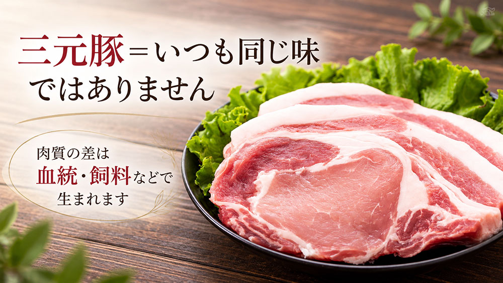 三元豚なら必ずやわらかい？味や肉質を左右するもの