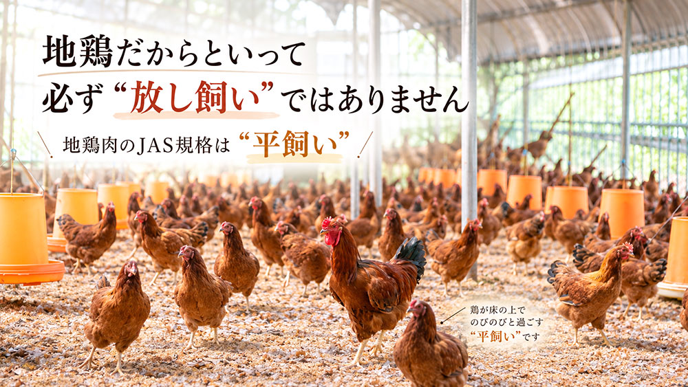 地鶏は放し飼い？平飼いとの違いを知っておこう
