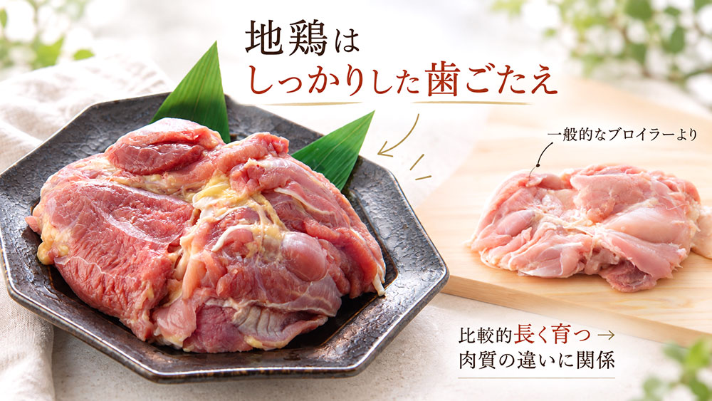 地鶏はかたい？しっかりした歯ごたえの理由