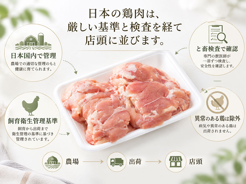 日本国内の安全基準と検査制度