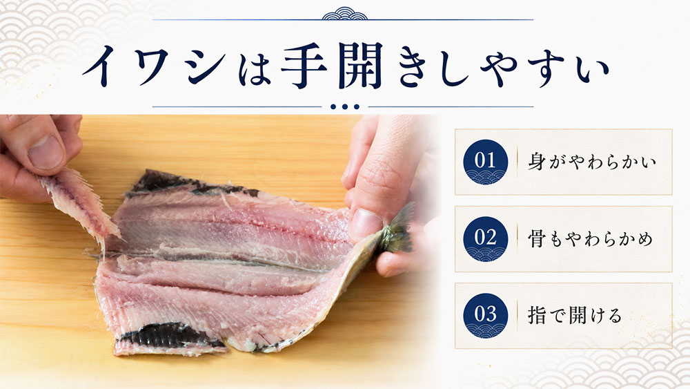 イワシは手開きしやすい