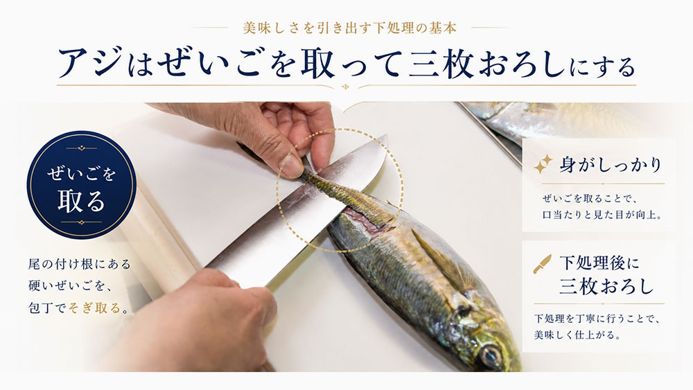 アジはぜいごを取って三枚おろしにする