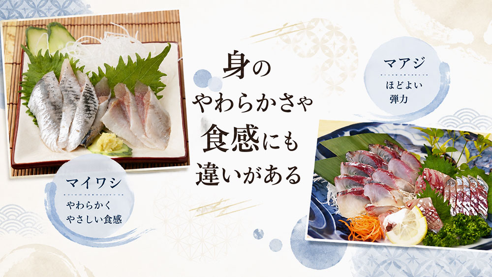 身のやわらかさや食感にも違いがある
