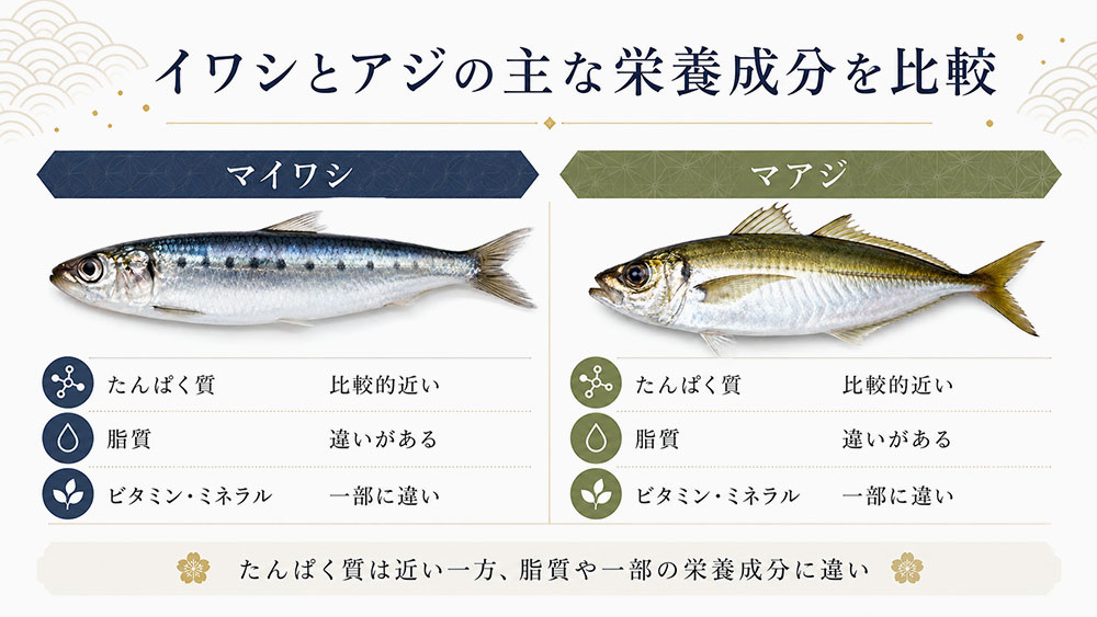 イワシとアジの主な栄養成分を比較
