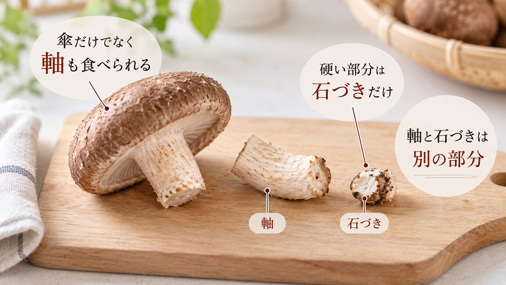 椎茸の軸は捨てずに食べられる！硬い石づきだけ切り落とそう