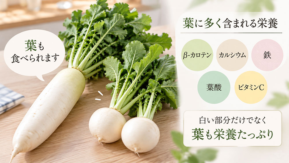 葉にも栄養がある｜大根とかぶは葉まで食べられる