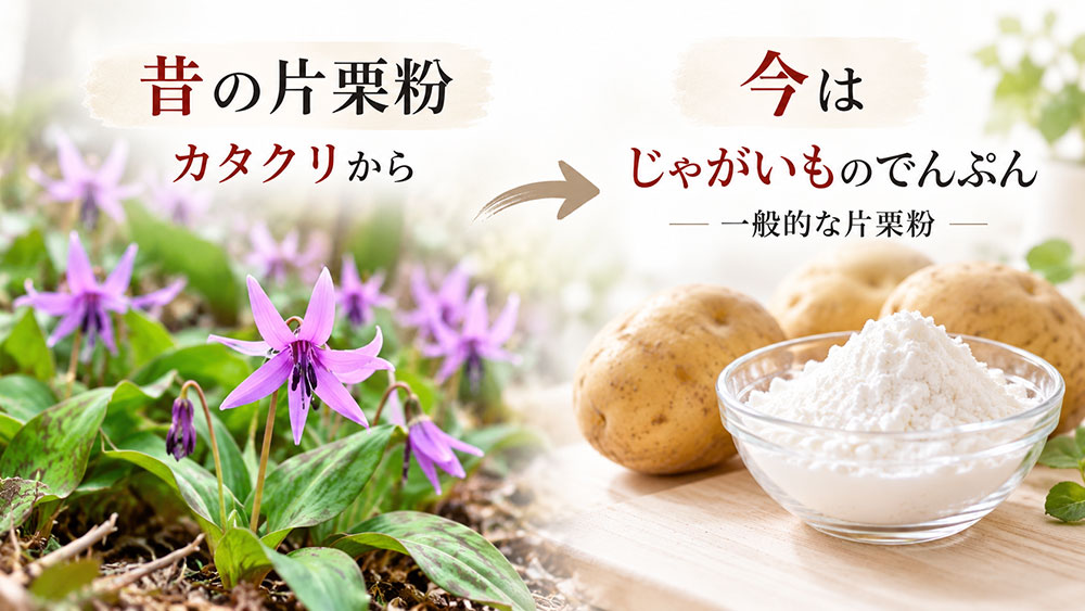 もともとはカタクリからでんぷんを取っていた。