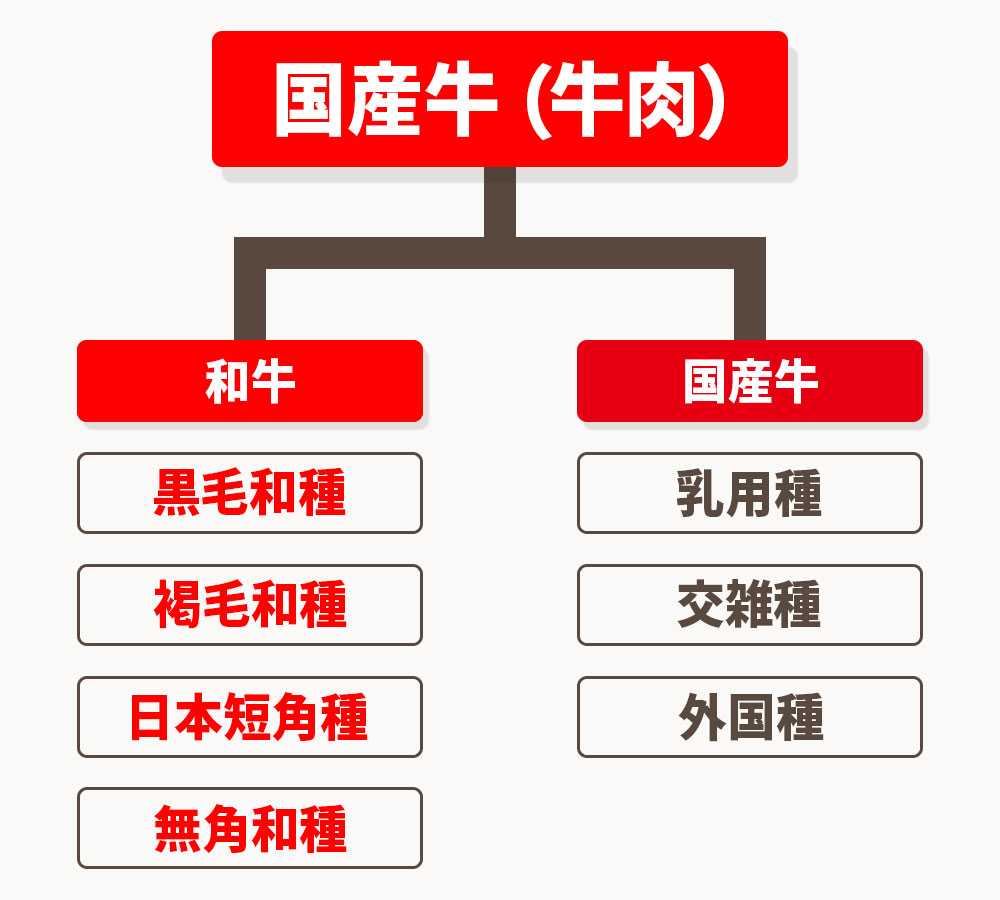 国産牛とは、日本国内で飼育された牛全般を指します。