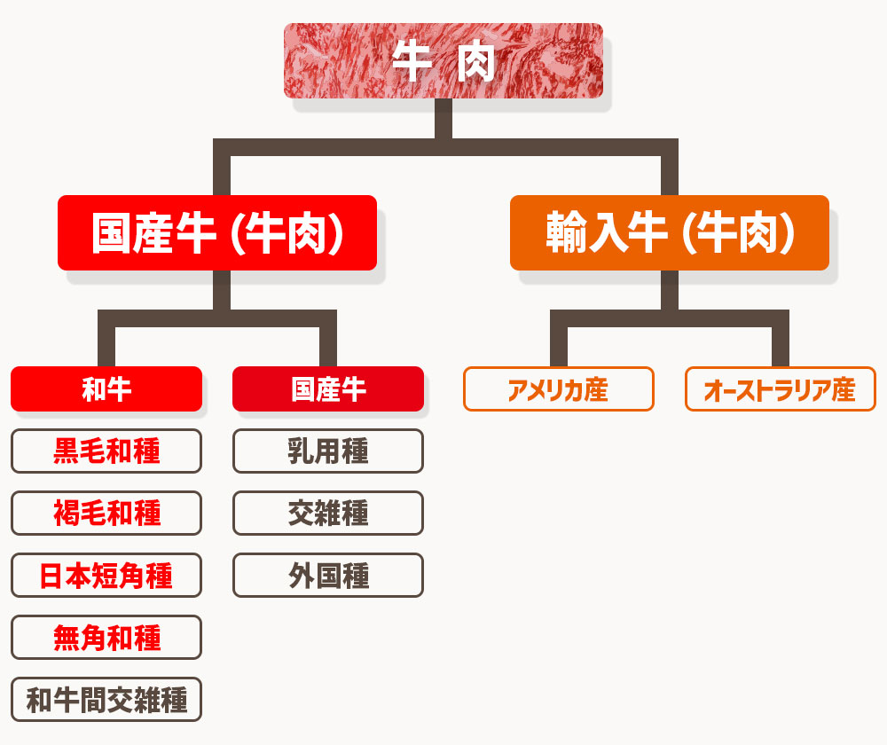 「国産牛」と「輸入牛」