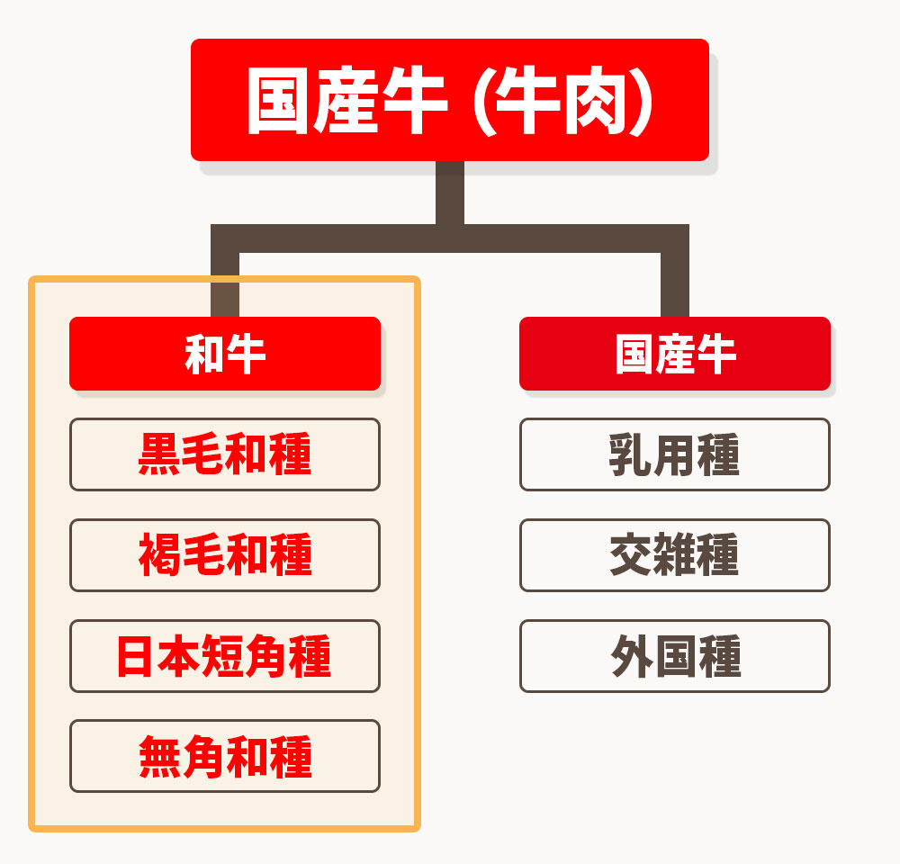 国産牛とは、日本国内で飼育された牛全般を指します。