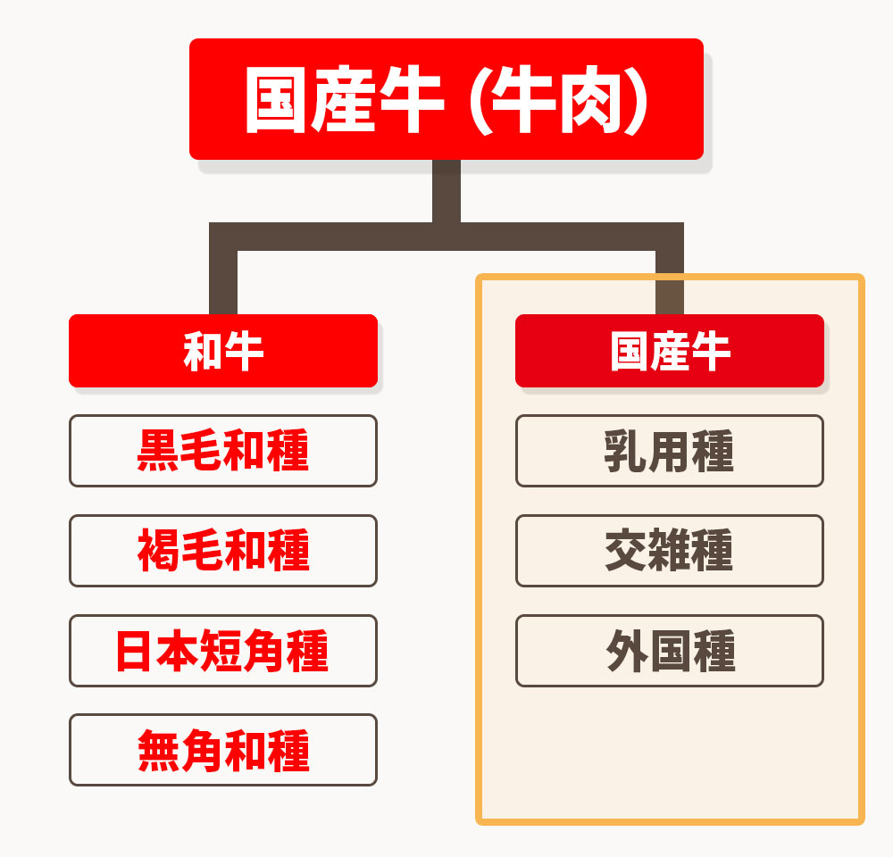 国産牛とは、日本国内で飼育された牛全般を指します。