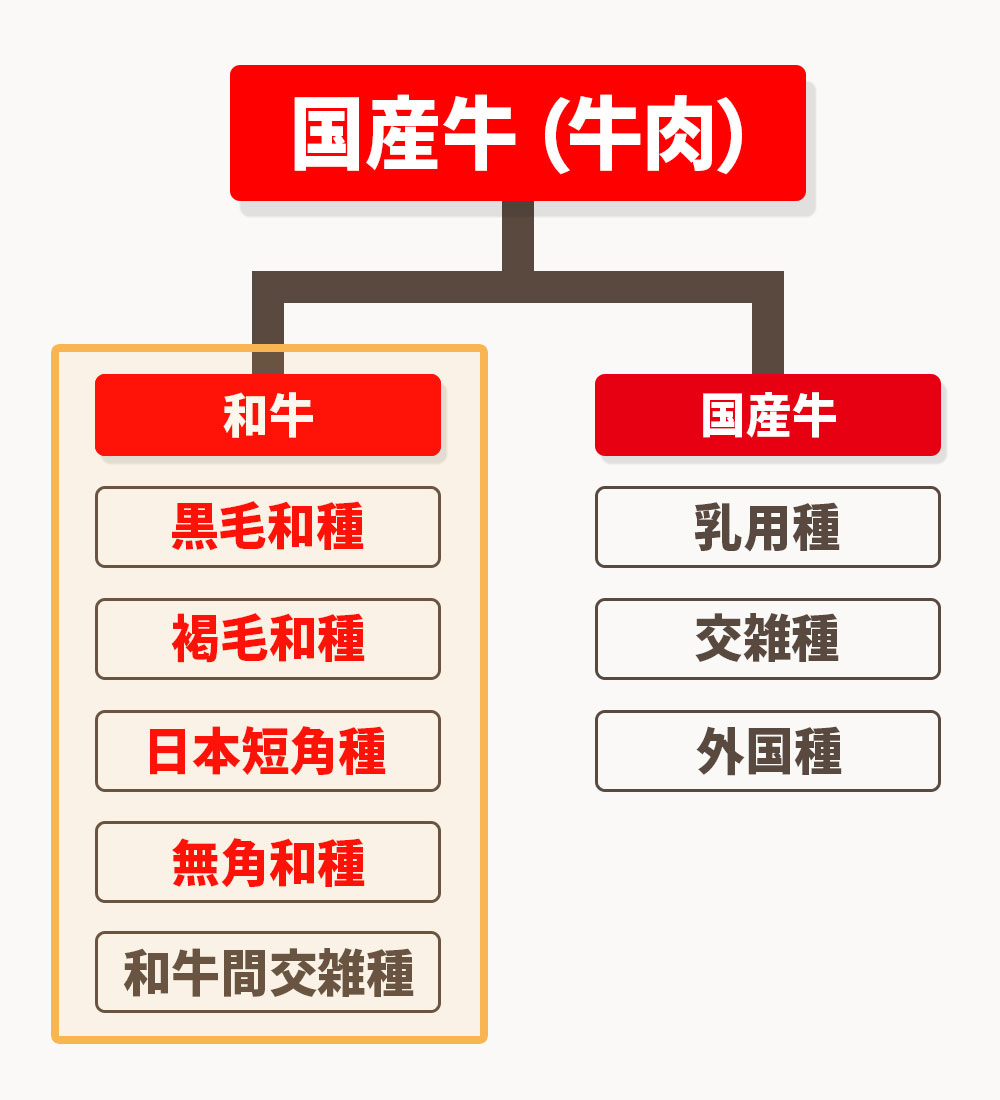 和牛は、日本で改良された牛の品種を指し、純血種の牛であることが求められます。